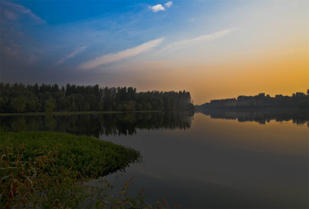 杨志浩 送