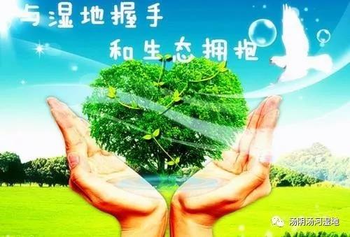 湿地是自然灾害的缓冲带