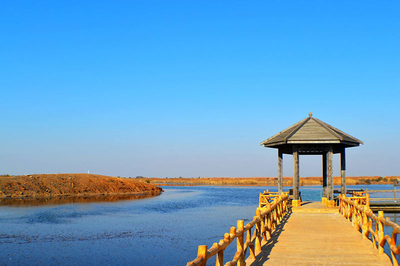 湿地旅游开发模式