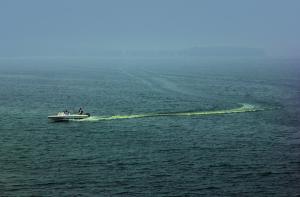 乘风破浪王同堂