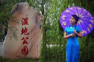 湿地佳人  刘爱民