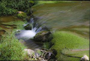 小溪、王鹏飞
